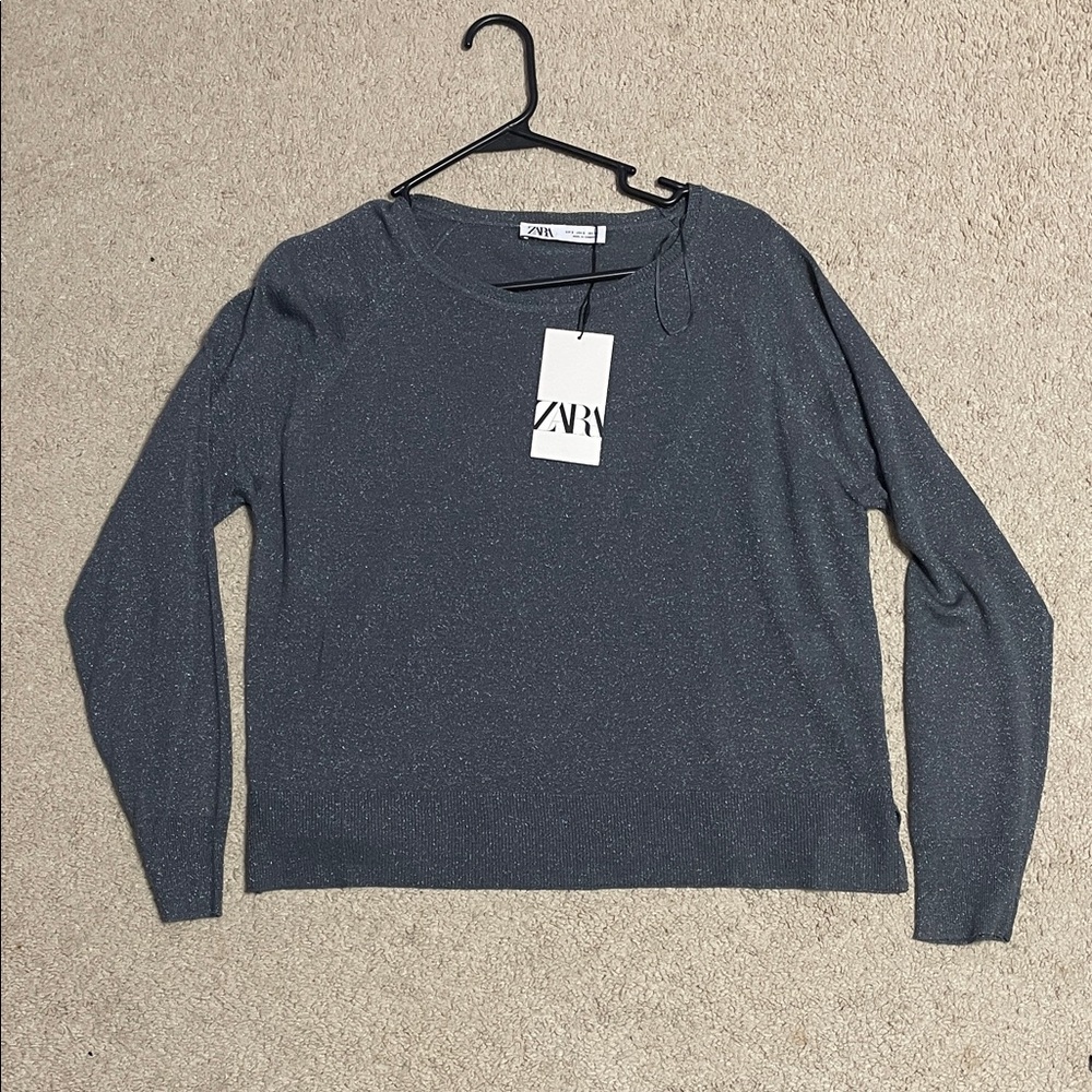 Zara Sparkly Top